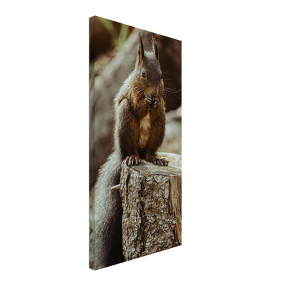 Squirrel in the forest - canvas
