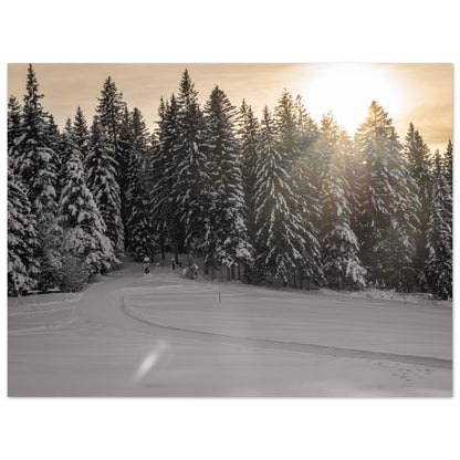 Sun rays over snowy forest as forex pressure