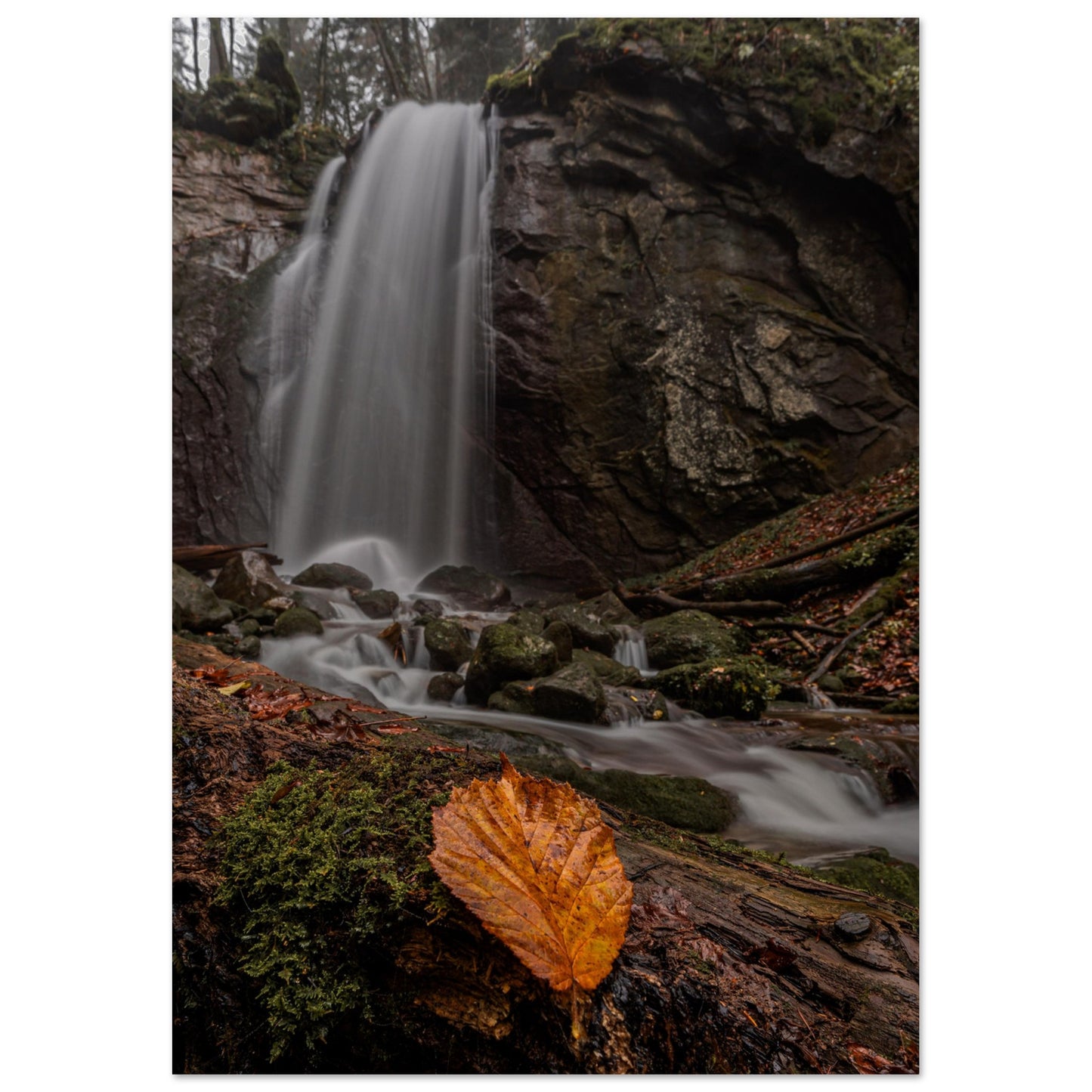 Herbstblatt am Wasserfall - Premium Poster