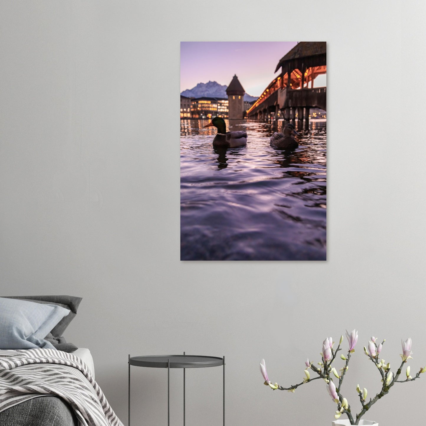 Harmony in winter light, ducks, Chapel Bridge and snowy Pilatus Forex print