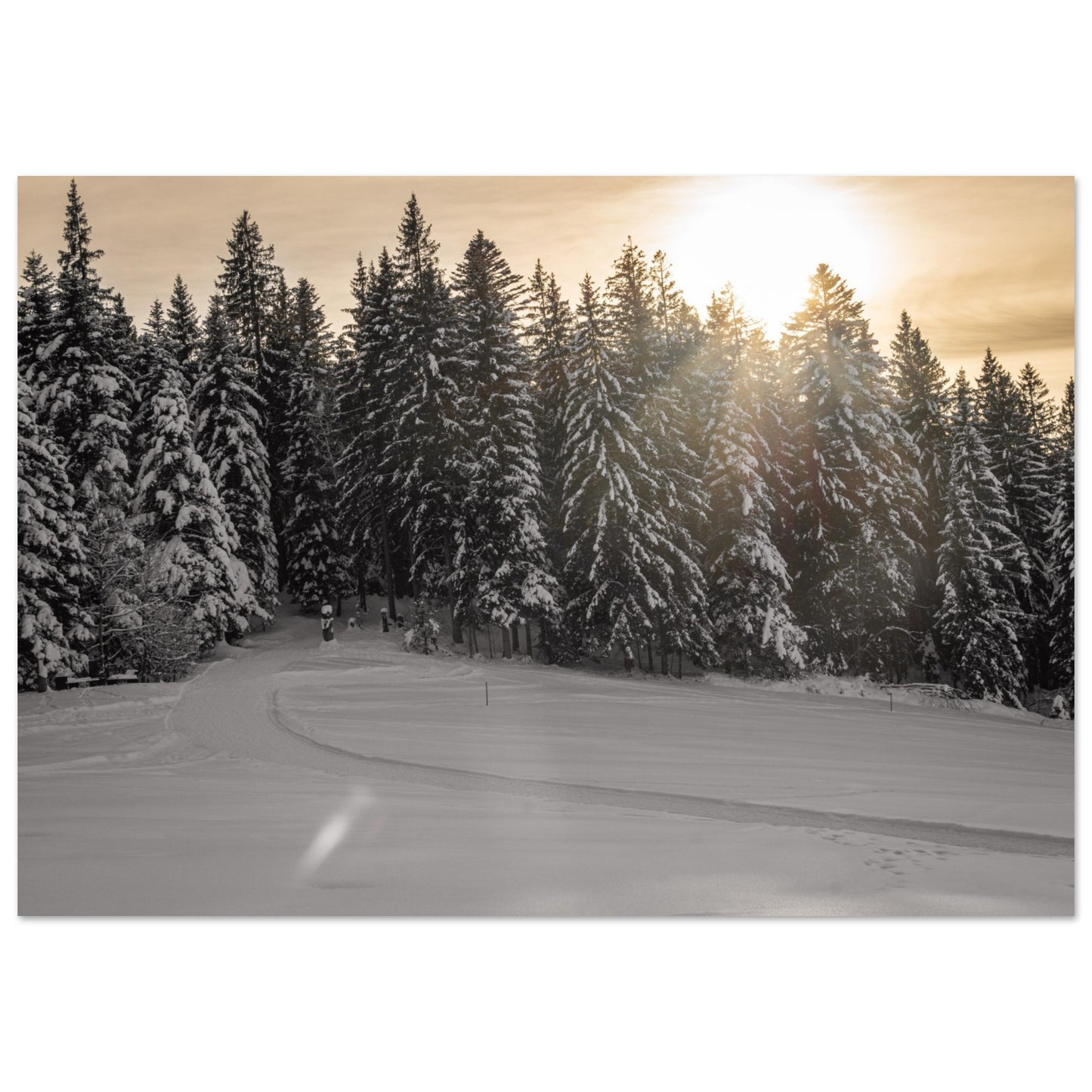 Sun rays over snowy forest as forex pressure