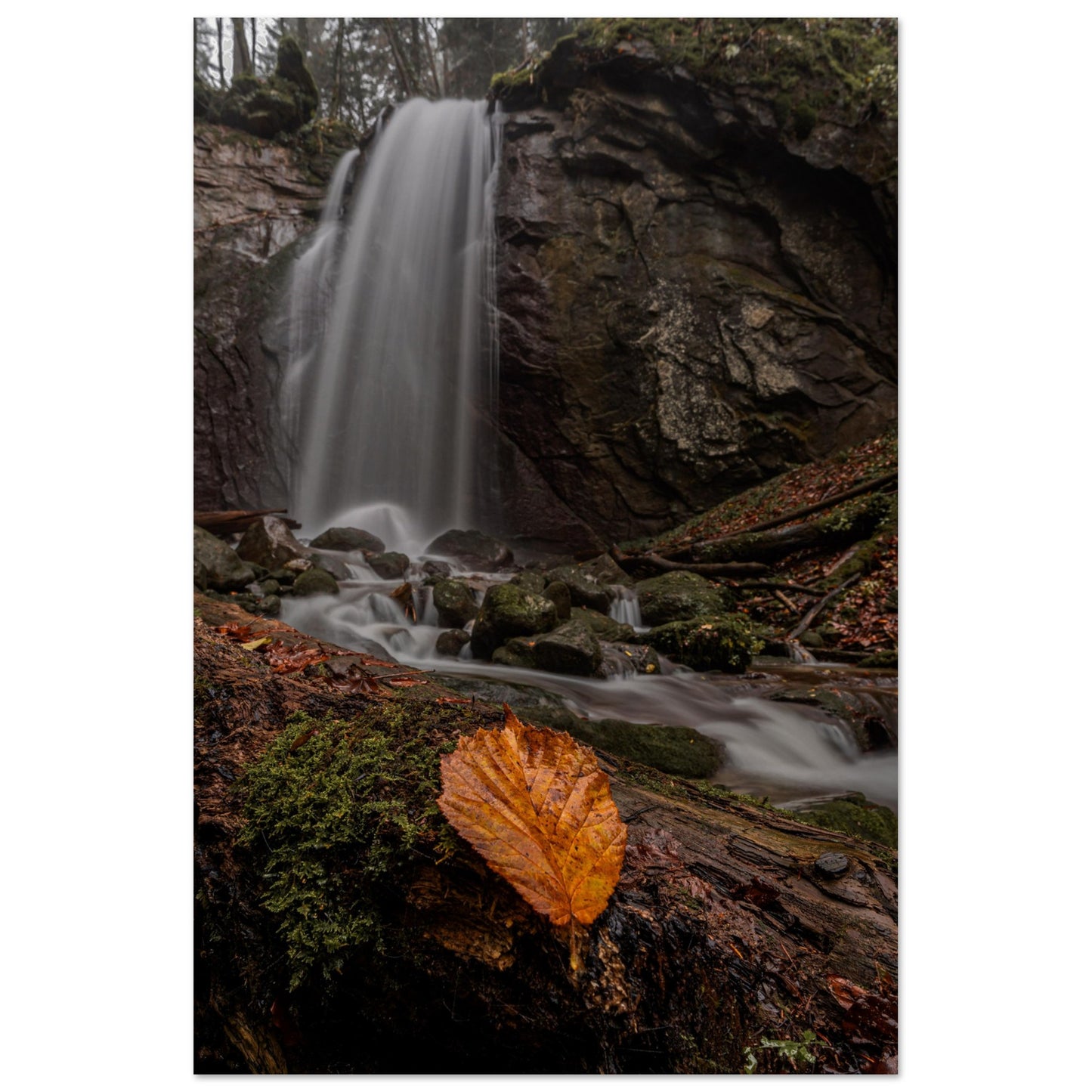 Herbstblatt am Wasserfall - Premium Poster