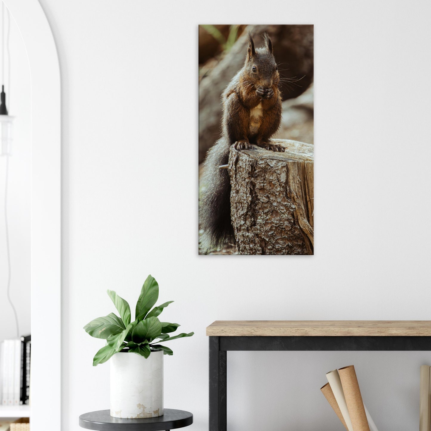 Squirrel in the forest - canvas