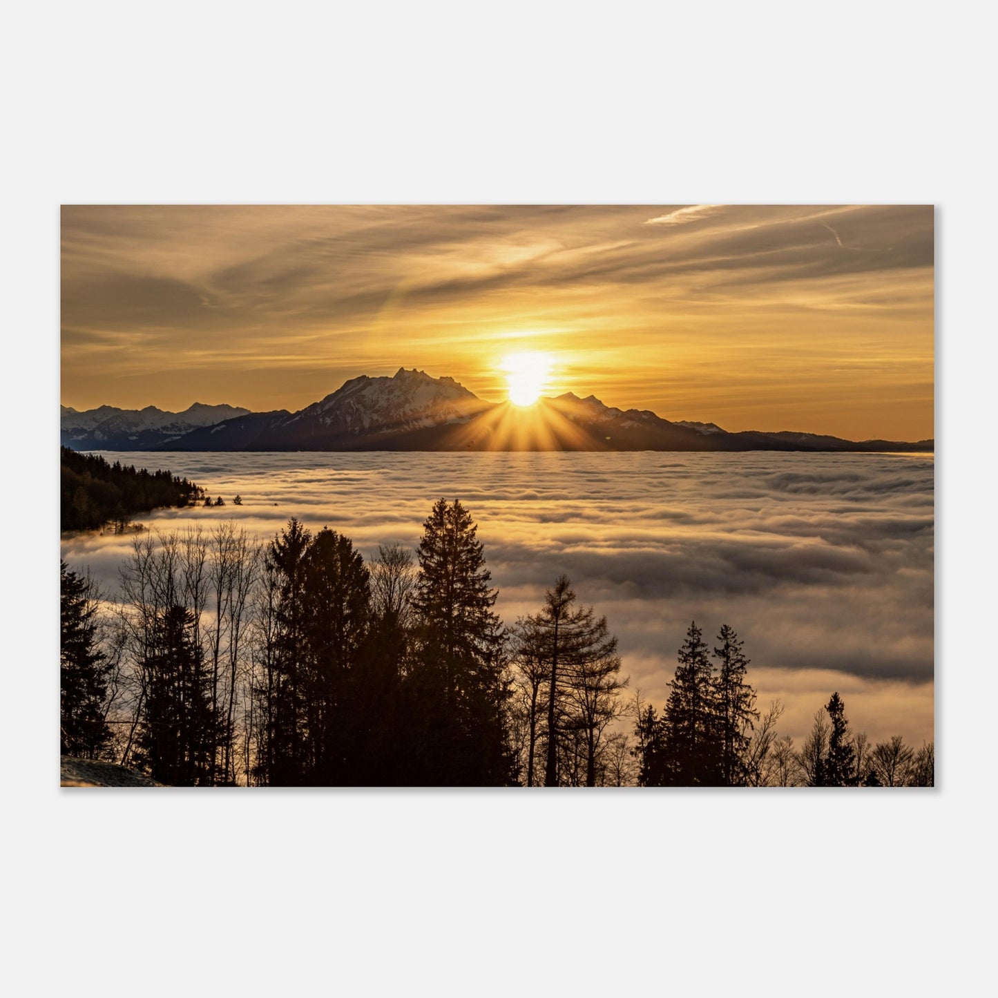 Nebelmeer Sonnenuntergang Premium Poster