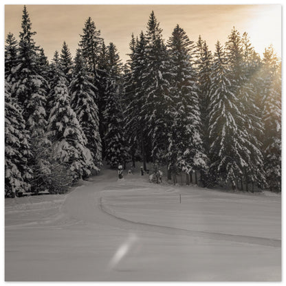 Sun rays over snowy forest - Premium Poster 