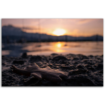 Brown Leaf in Sunset Premium Poster