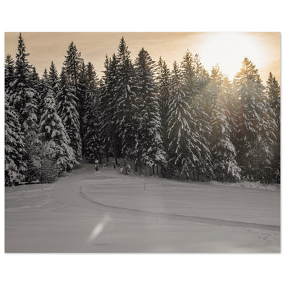 Sun rays over snowy forest - Premium Poster 