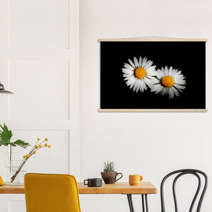 Two radiant daisies, premium poster made of museum-quality matt paper with wooden strips