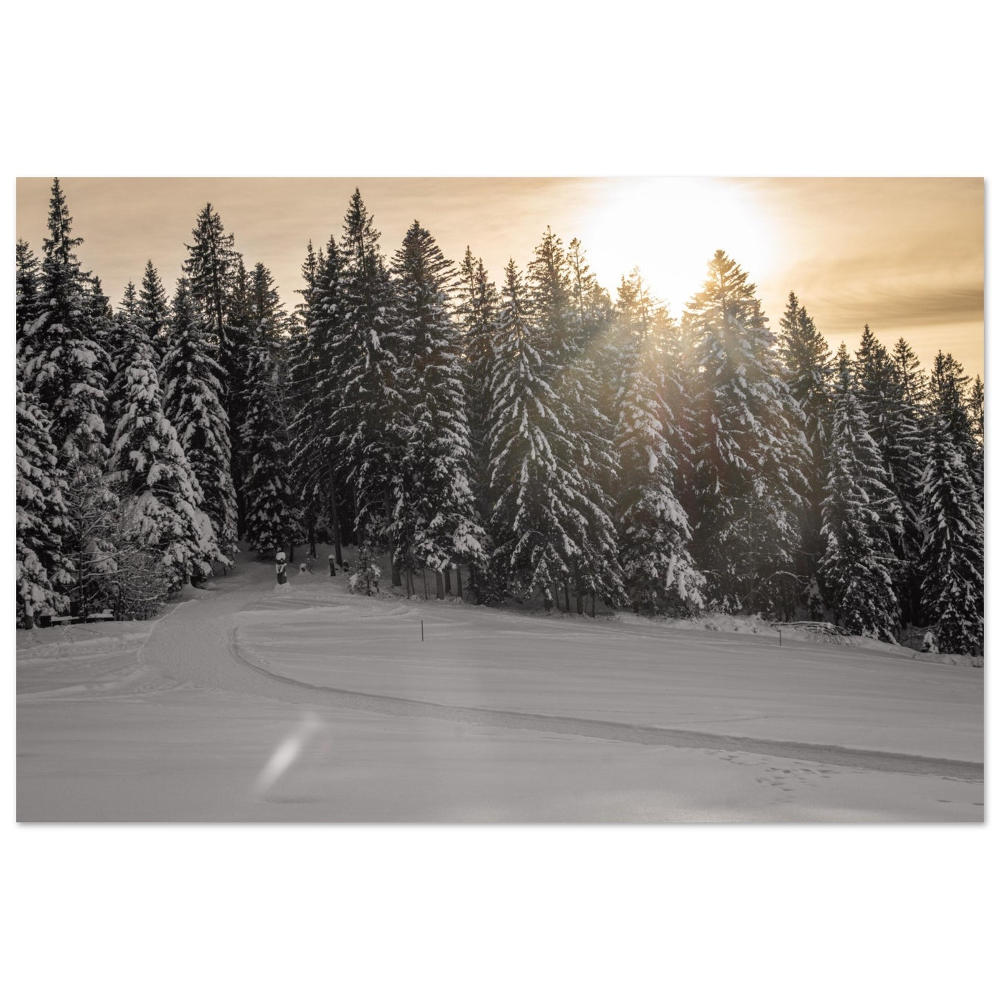 Sun rays over snowy forest as forex pressure