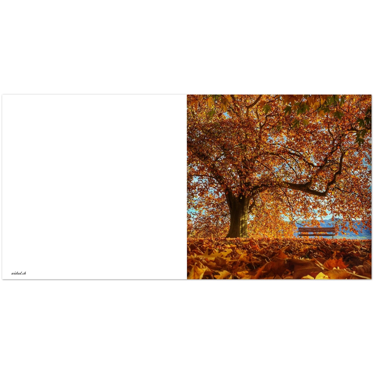 Herbststimmung im Villettepark Klappkarten, Set mit 10 Grusskarten und Umschläge