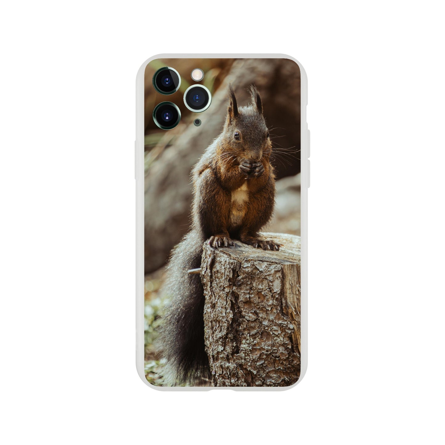 Eichhörnchen im Wald : Flexi-Case Handyhülle für iPhone und Samsung