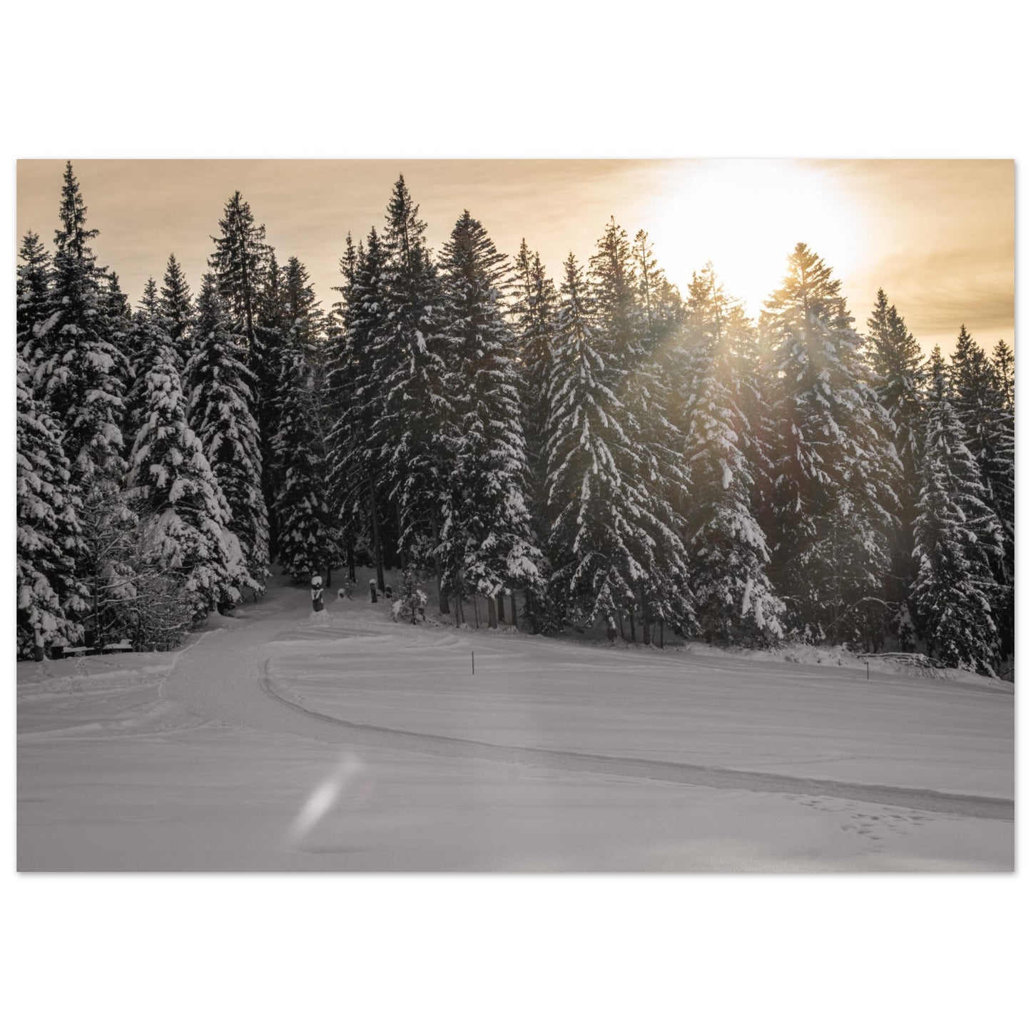 Sun rays over snowy forest as forex pressure