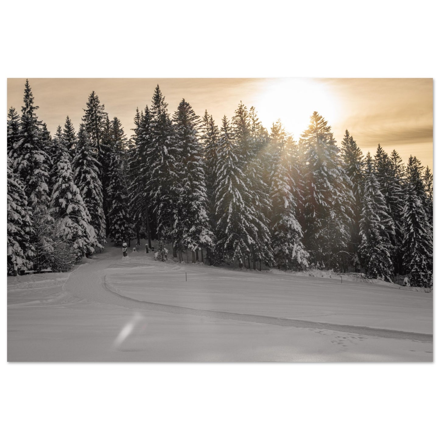 Sun rays over snowy forest as forex pressure