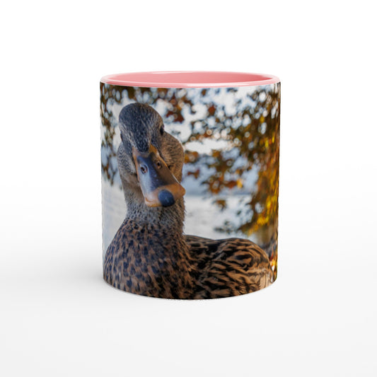 Autumnal Duck Ceramic Mug - Various Colors 