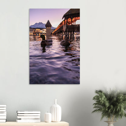 Harmony in winter light, ducks, Chapel Bridge and snowy Pilatus Forex print