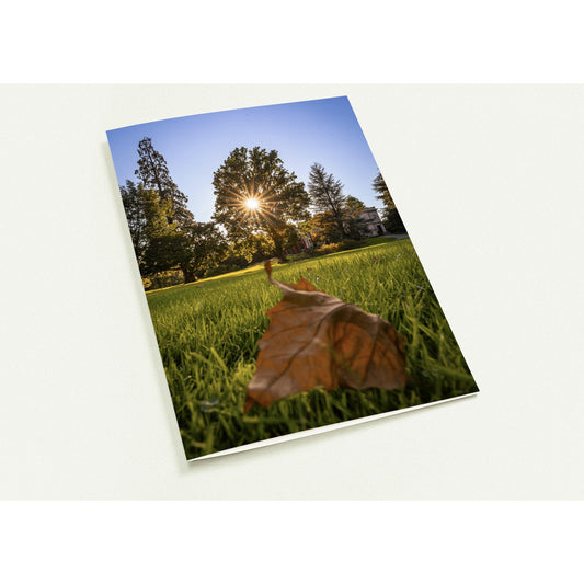 Autumn leaf in Villettepark folding cards, set of 10 greeting cards and envelopes 