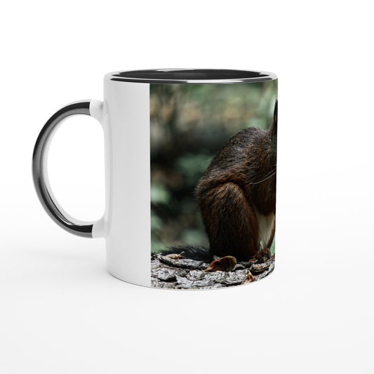 Squirrel Ceramic Mug - Colored Rim &amp; Handle