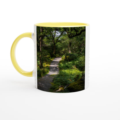 Forest path in the countryside ceramic mug - various colors