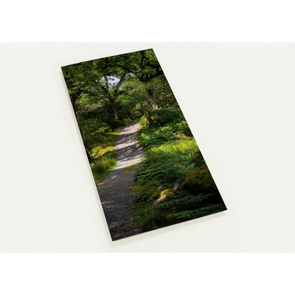 Waldweg im Grünen - 10er Set Ansichtskarten mit Umschlägen