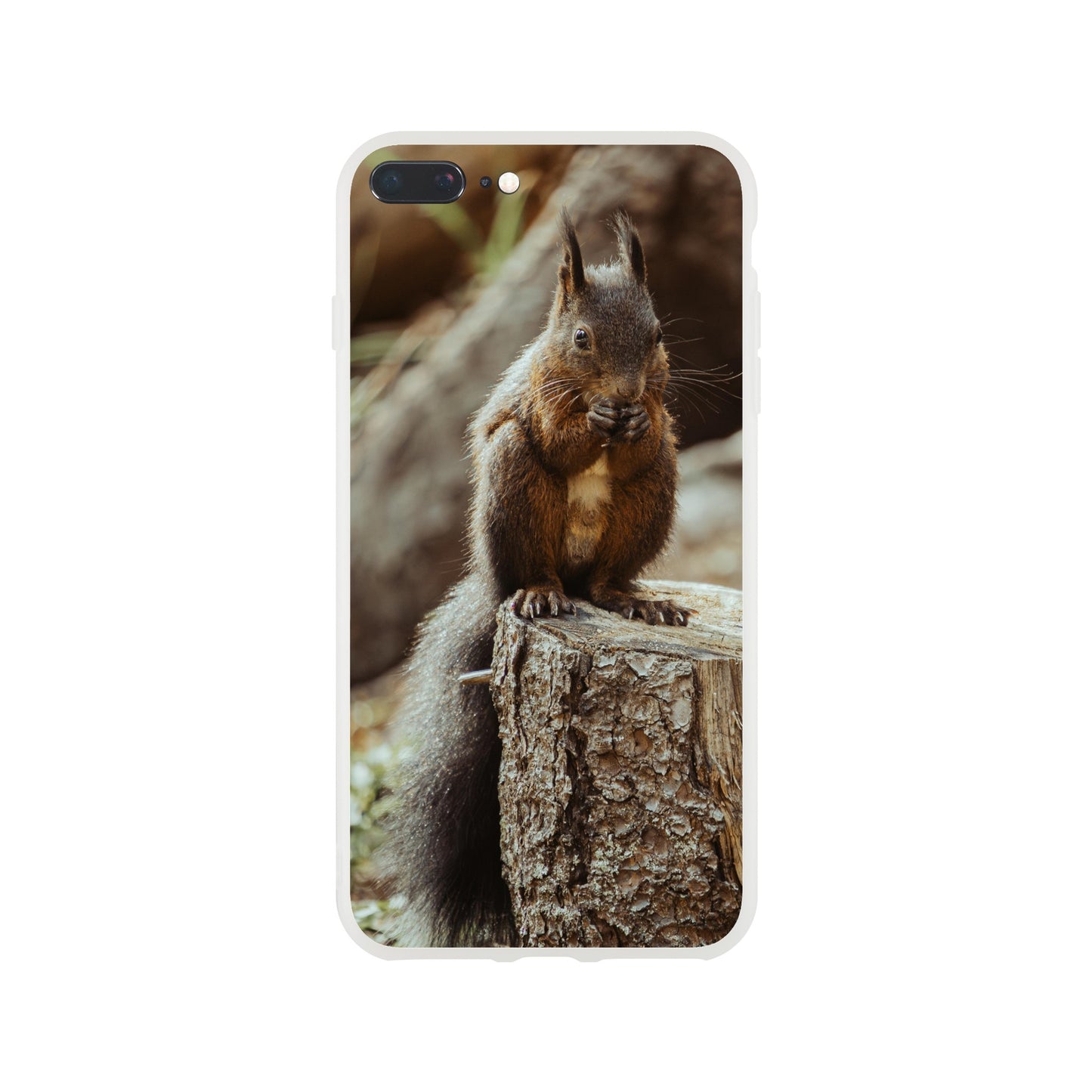 Eichhörnchen im Wald : Flexi-Case Handyhülle für iPhone und Samsung