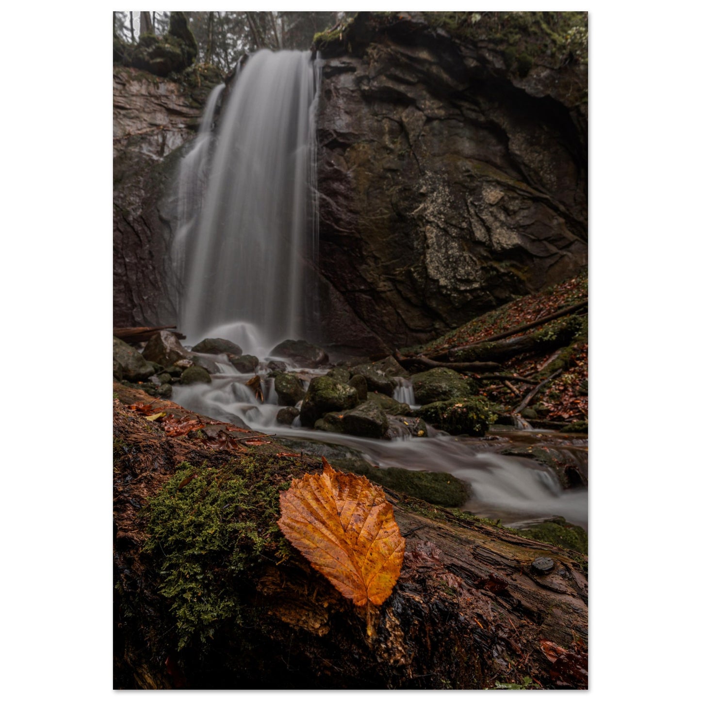 Herbstblatt am Wasserfall - Premium Poster