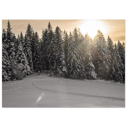 Sun rays over snowy forest as forex pressure