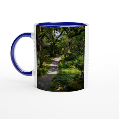 Forest path in the countryside ceramic mug - various colors