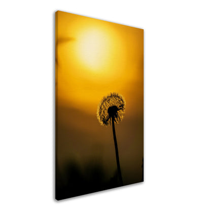 Dark dandelion canvas